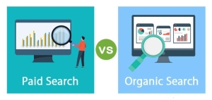 Paid Search vs Organic